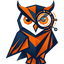 icon of OwnerClue