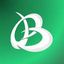 icon of Brandolia