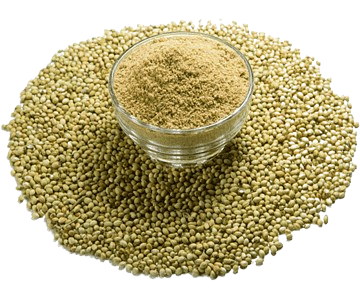 Product 6