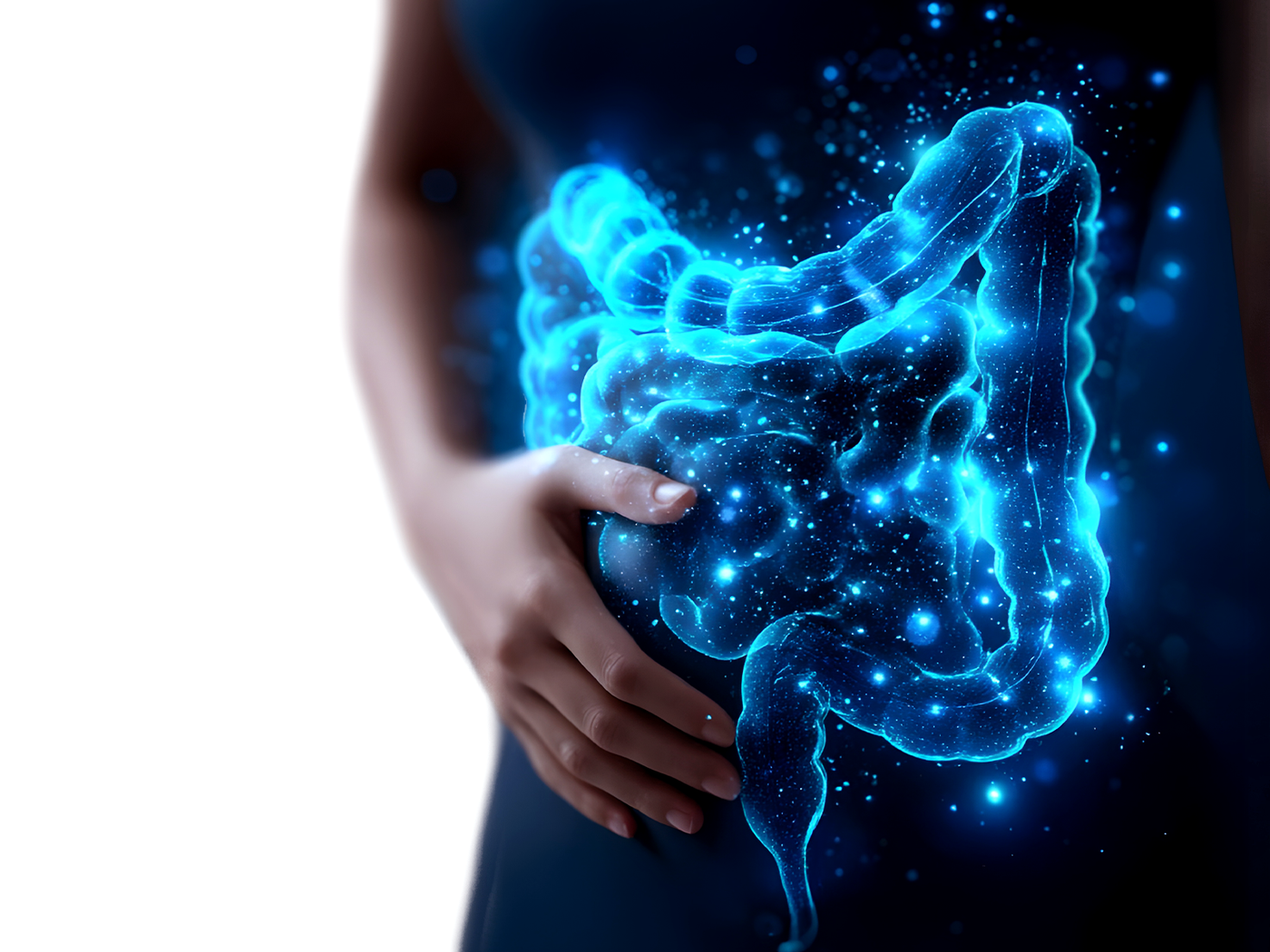 Gut Healer IV Drip