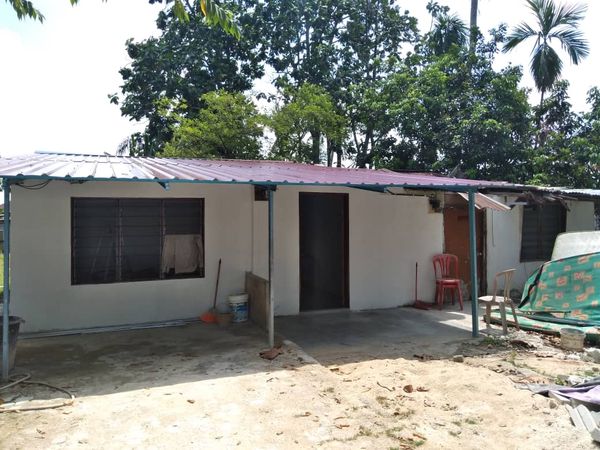 BANTUAN MANGSA HEMPAP POKOK - Image 1