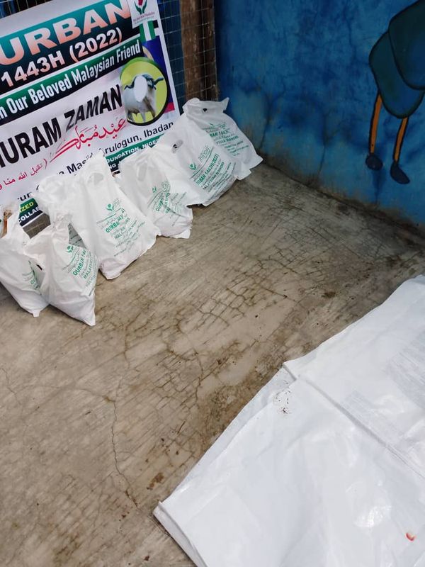 QURBAN 1443H – NIGERIA - Image 29
