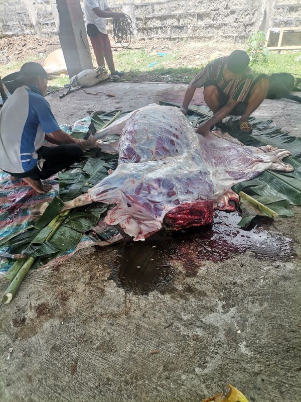 QURBAN PROGRAM 144H (2023) - Image 20