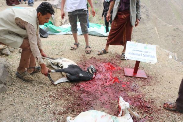 QURBAN 1443H- YEMEN - Image 6