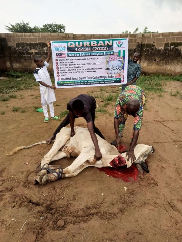 QURBAN 1443H – NIGERIA - Image 5