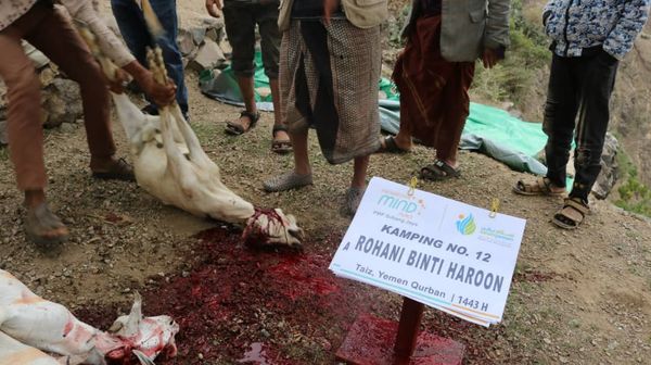 QURBAN 1443H- YEMEN - Image 10