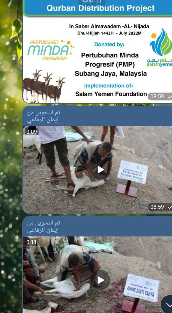 QURBAN 1443H- YEMEN - Image 1