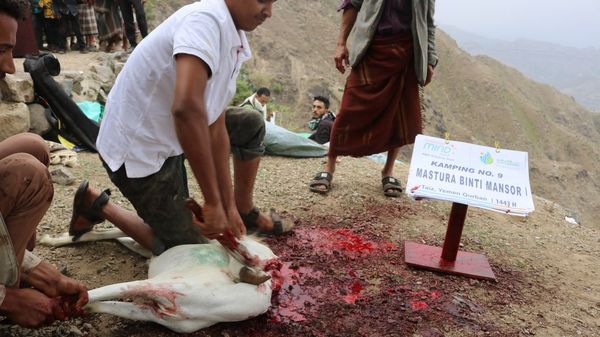 QURBAN 1443H- YEMEN - Image 8