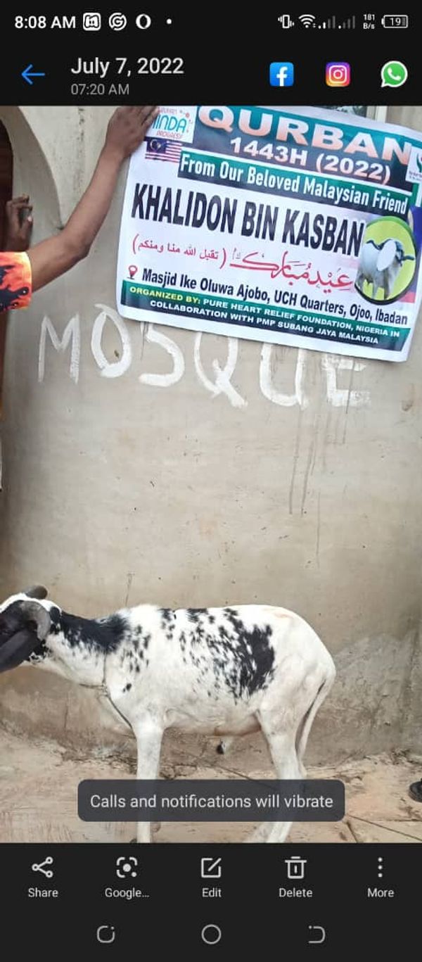 QURBAN 1443H – NIGERIA - Image 32