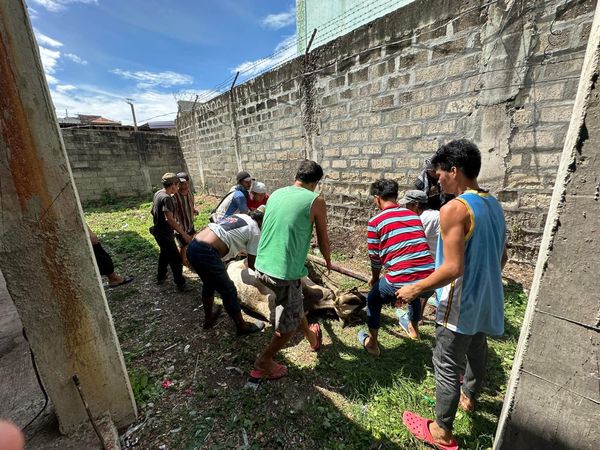 QURBAN PROGRAM 144H (2023) - Image 18