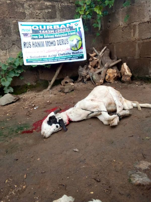 QURBAN 1443H – NIGERIA - Image 34