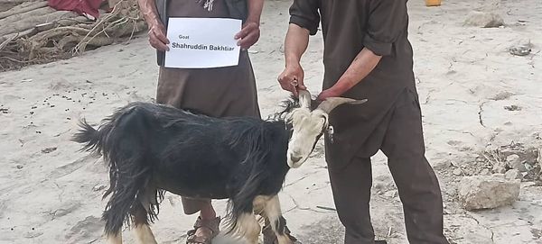 QURBAN PROGRAM 1445H (2024) - Image 31