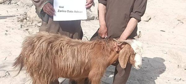 QURBAN PROGRAM 1445H (2024) - Image 32