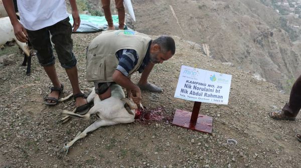 QURBAN 1443H- YEMEN - Image 18