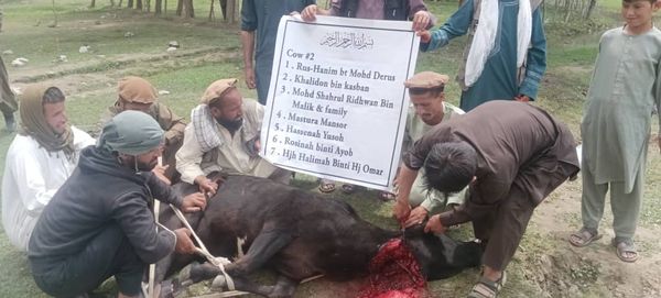 QURBAN PROGRAM 1445H (2024) - Image 30