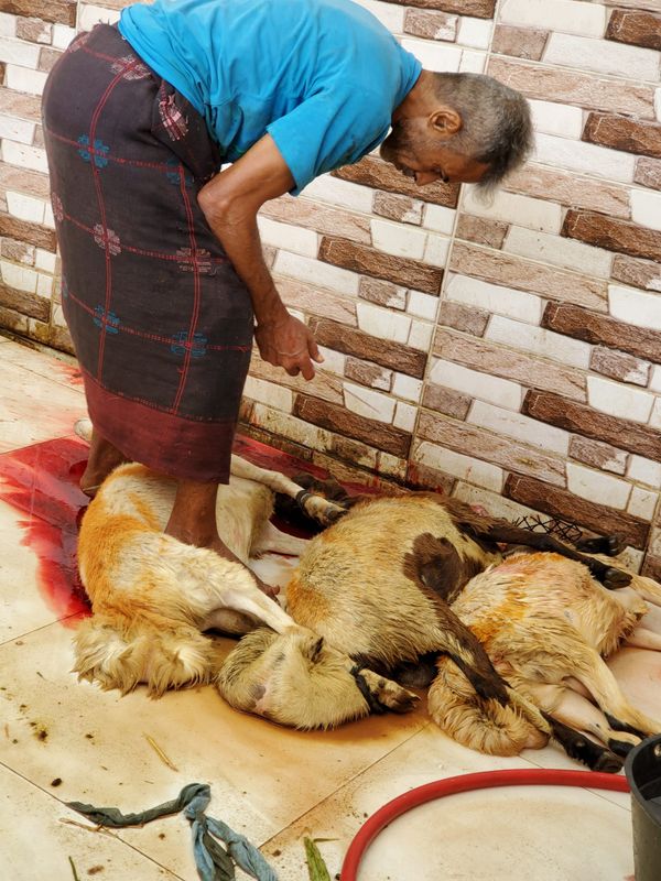 QURBAN PROGRAM 144H (2023) - Image 44