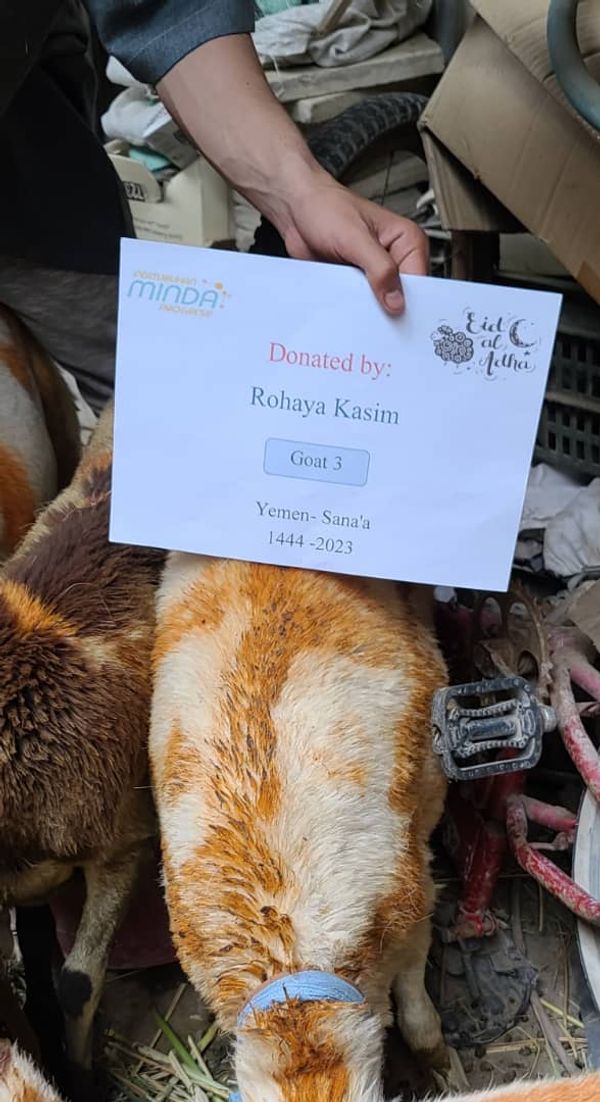 QURBAN PROGRAM 144H (2023) - Image 31