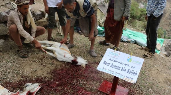 QURBAN 1443H- YEMEN - Image 12