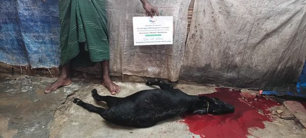 QURBAN PROGRAM 1446H (2025) - Image 19