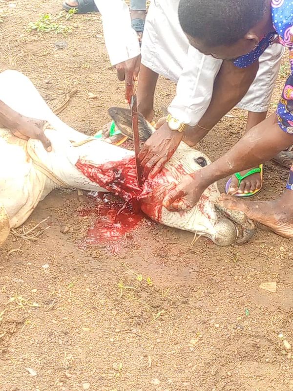 QURBAN PROGRAM 1445H (2024) - Image 4