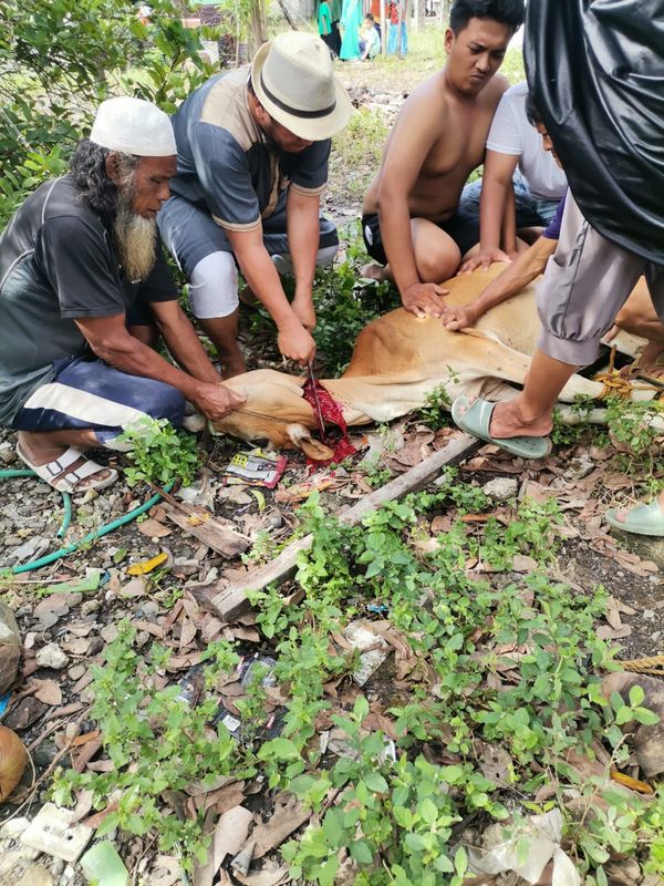 QURBAN 1443H – PHILIPPINES - Image 5