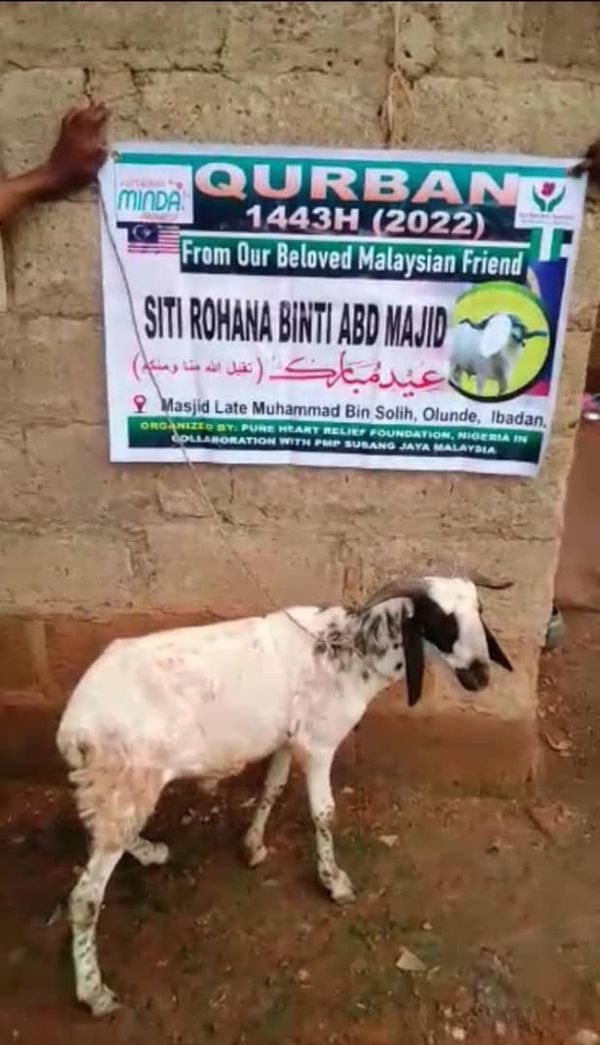 QURBAN 1443H – NIGERIA - Image 20