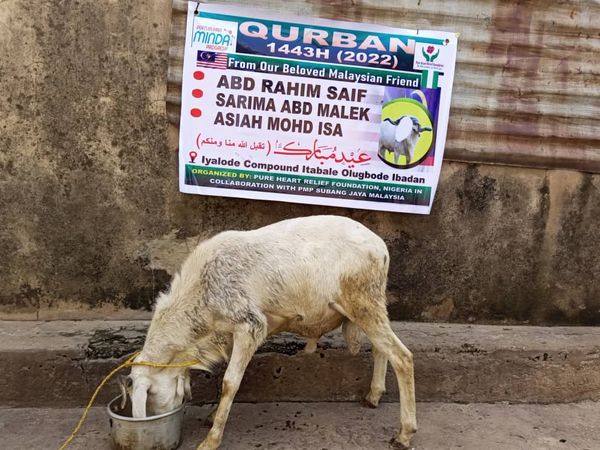 QURBAN 1443H – NIGERIA - Image 38
