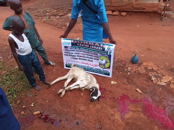 QURBAN 1443H – NIGERIA - Image 43