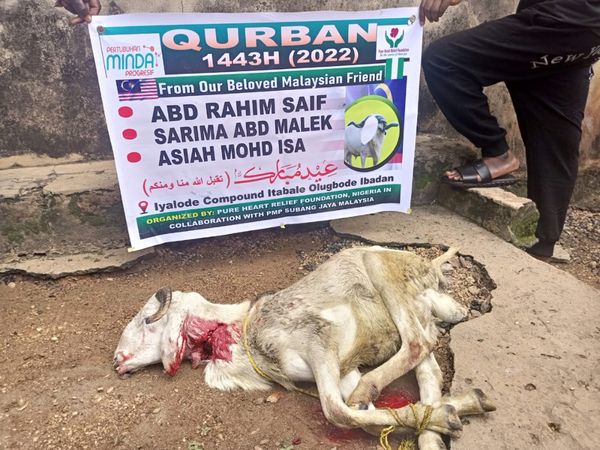 QURBAN 1443H – NIGERIA - Image 40