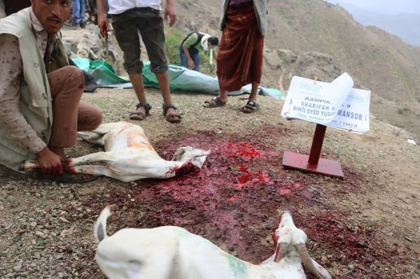 QURBAN 1443H- YEMEN - Image 7