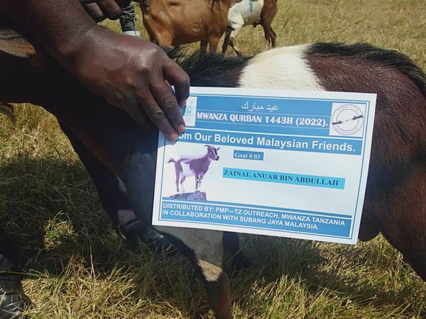 QURBAN 1443H- TANZANIA - Image 12