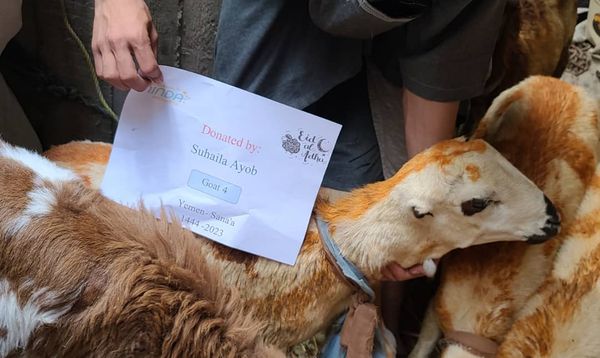 QURBAN PROGRAM 144H (2023) - Image 29