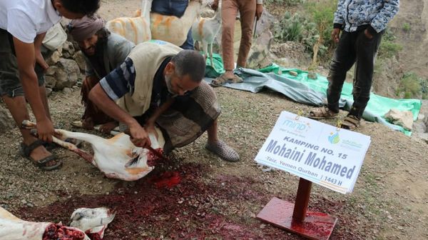 QURBAN 1443H- YEMEN - Image 14