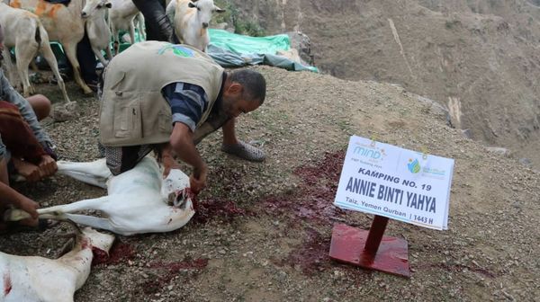 QURBAN 1443H- YEMEN - Image 17