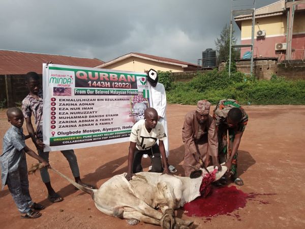 QURBAN 1443H – NIGERIA - Image 16