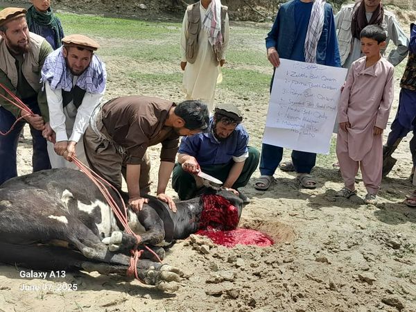 QURBAN PROGRAM 1446H (2025) - Image 17