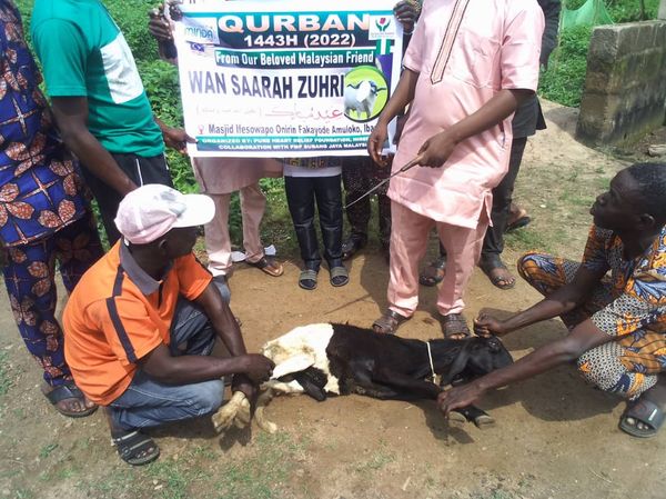 QURBAN 1443H – NIGERIA - Image 37