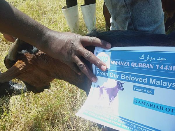 QURBAN 1443H- TANZANIA - Image 22