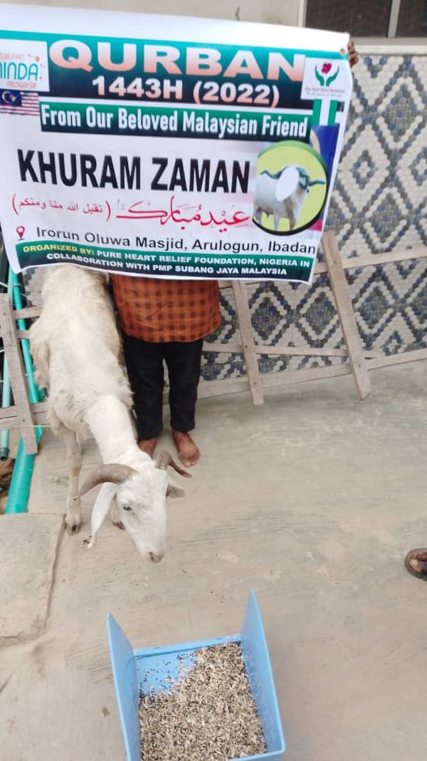 QURBAN 1443H – NIGERIA - Image 28