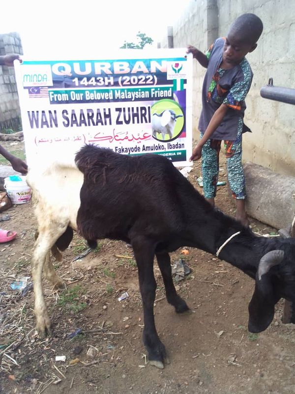 QURBAN 1443H – NIGERIA - Image 36