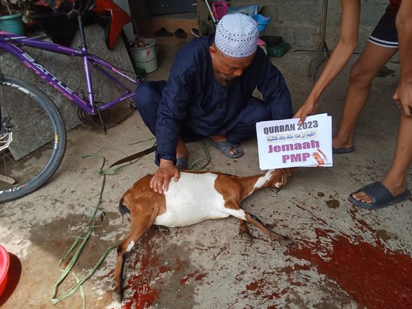 QURBAN PROGRAM 144H (2023) - Image 22