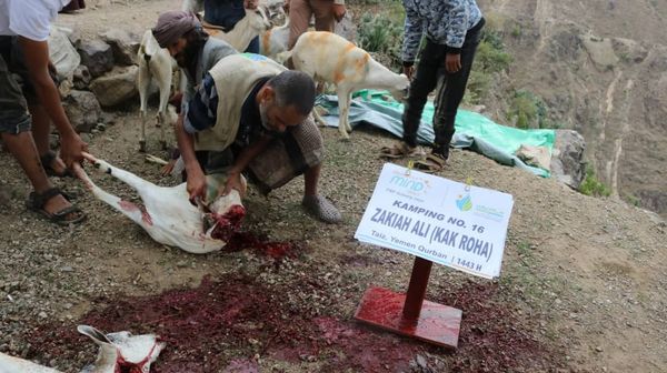 QURBAN 1443H- YEMEN - Image 15