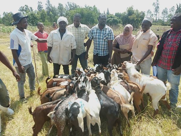 QURBAN 1443H- TANZANIA - Image 2