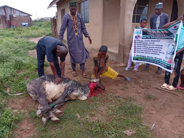 QURBAN 1443H – NIGERIA - Image 15