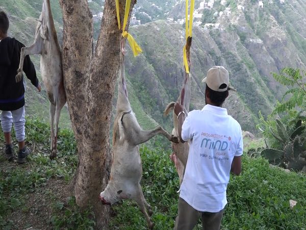 QURBAN PROGRAM 144H (2023) - Image 56