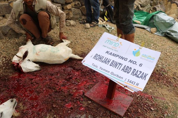 QURBAN 1443H- YEMEN - Image 2