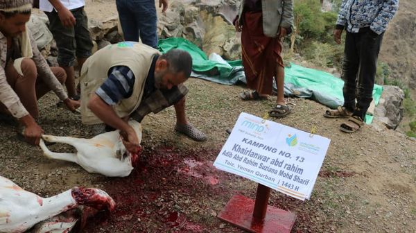 QURBAN 1443H- YEMEN - Image 11