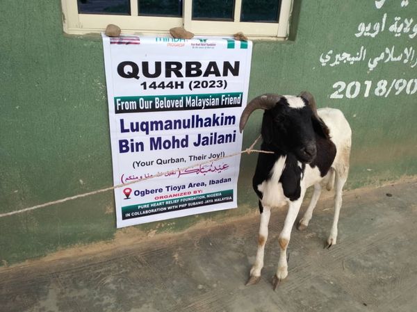 QURBAN PROGRAM 144H (2023) - Image 4