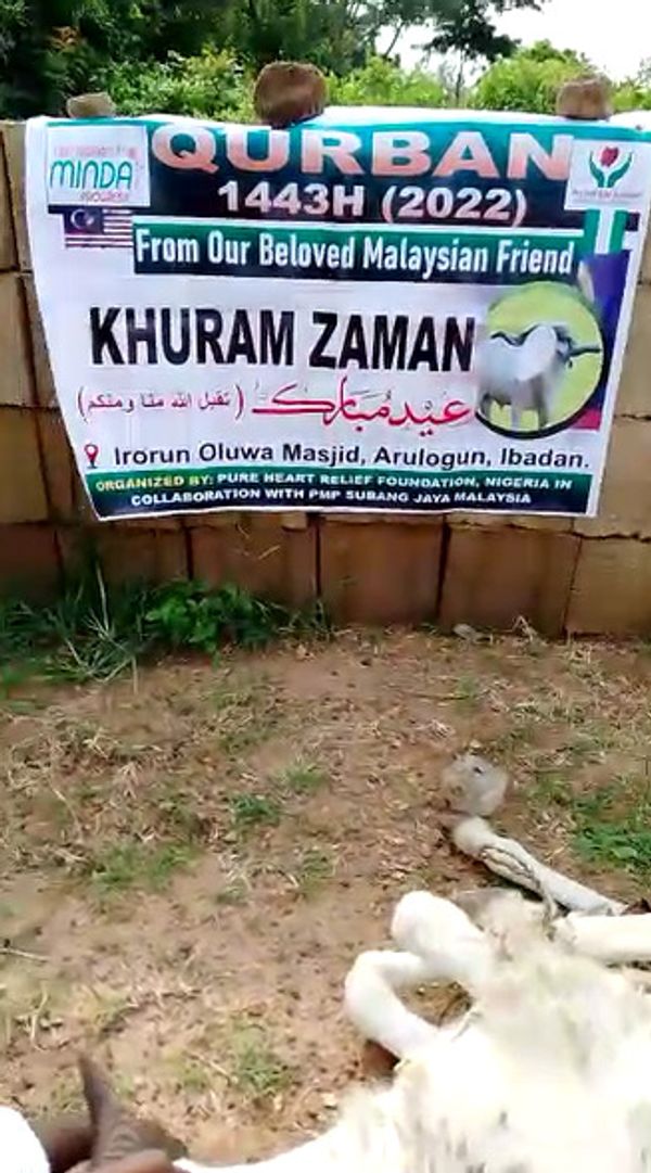 QURBAN 1443H – NIGERIA - Image 26