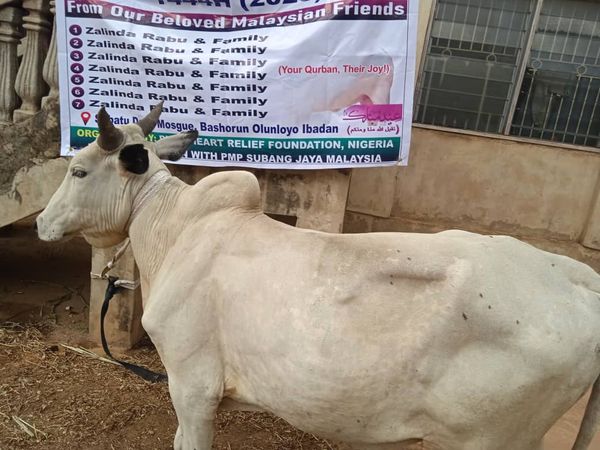 QURBAN PROGRAM 144H (2023) - Image 3